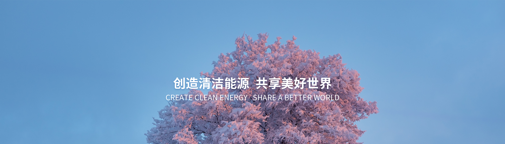 welcome -华纳公司官方网站